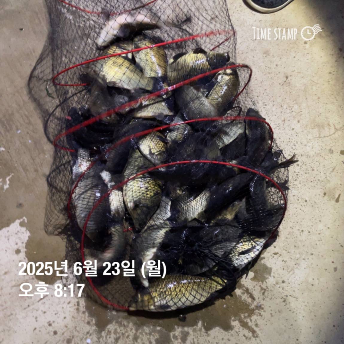 KakaoTalk_20250629_181759207_05.jpg