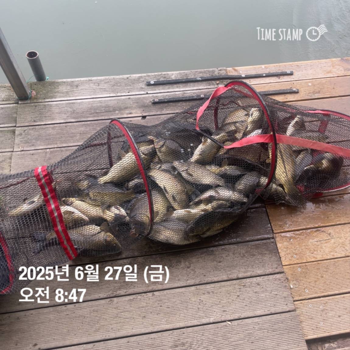 KakaoTalk_20250629_181759207_07.jpg