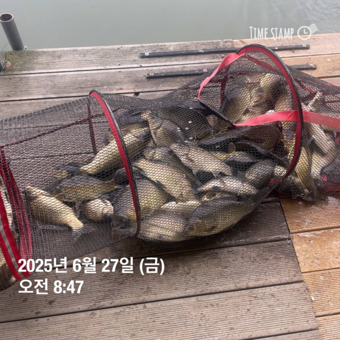 KakaoTalk_20250629_181759207_08.jpg