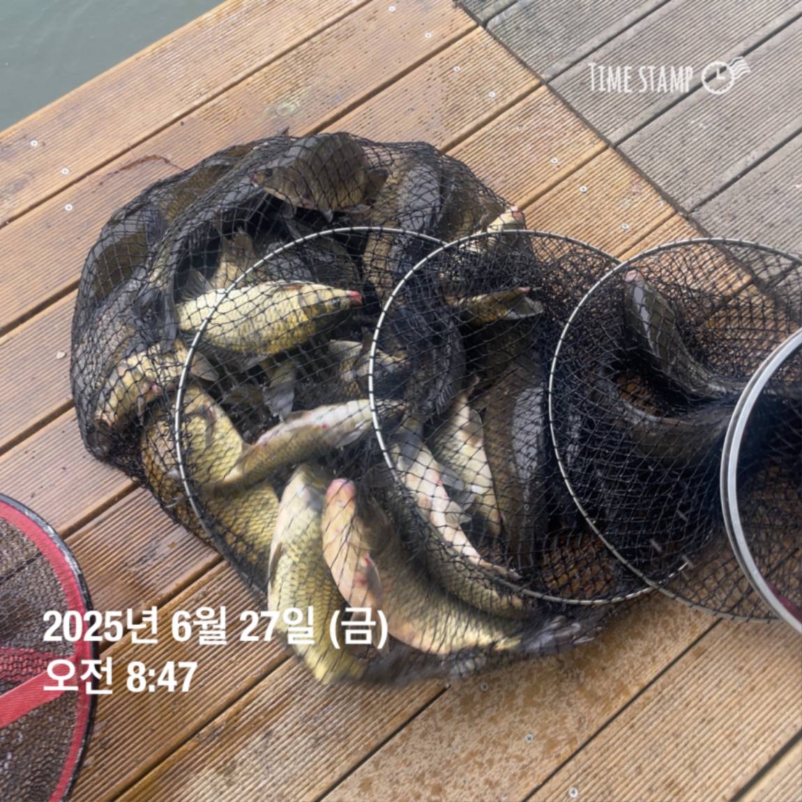 KakaoTalk_20250629_181759207_10.jpg
