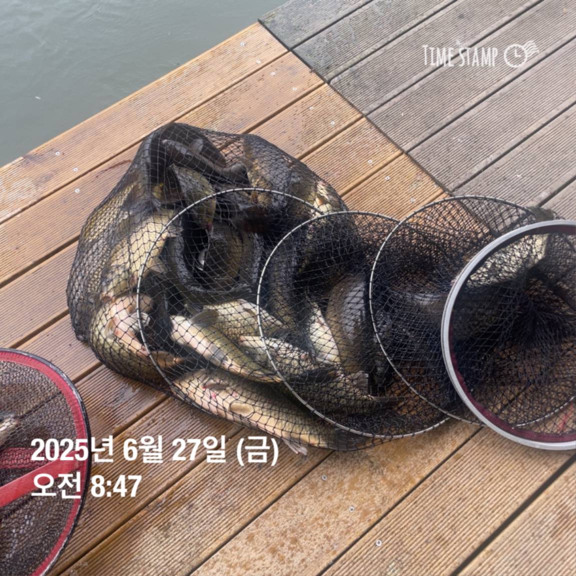 KakaoTalk_20250629_181759207_11.jpg