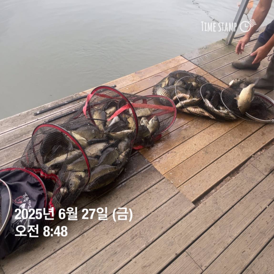 KakaoTalk_20250629_181759207_13.jpg