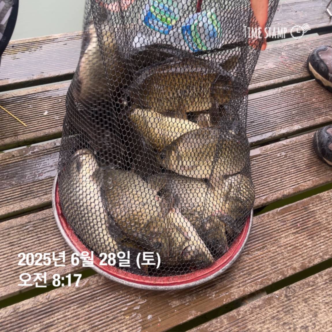 KakaoTalk_20250629_181759207_15.jpg