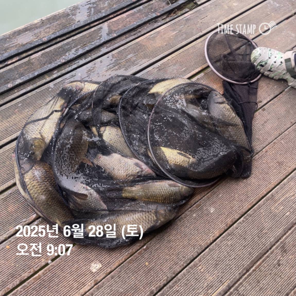 KakaoTalk_20250629_181759207_18.jpg