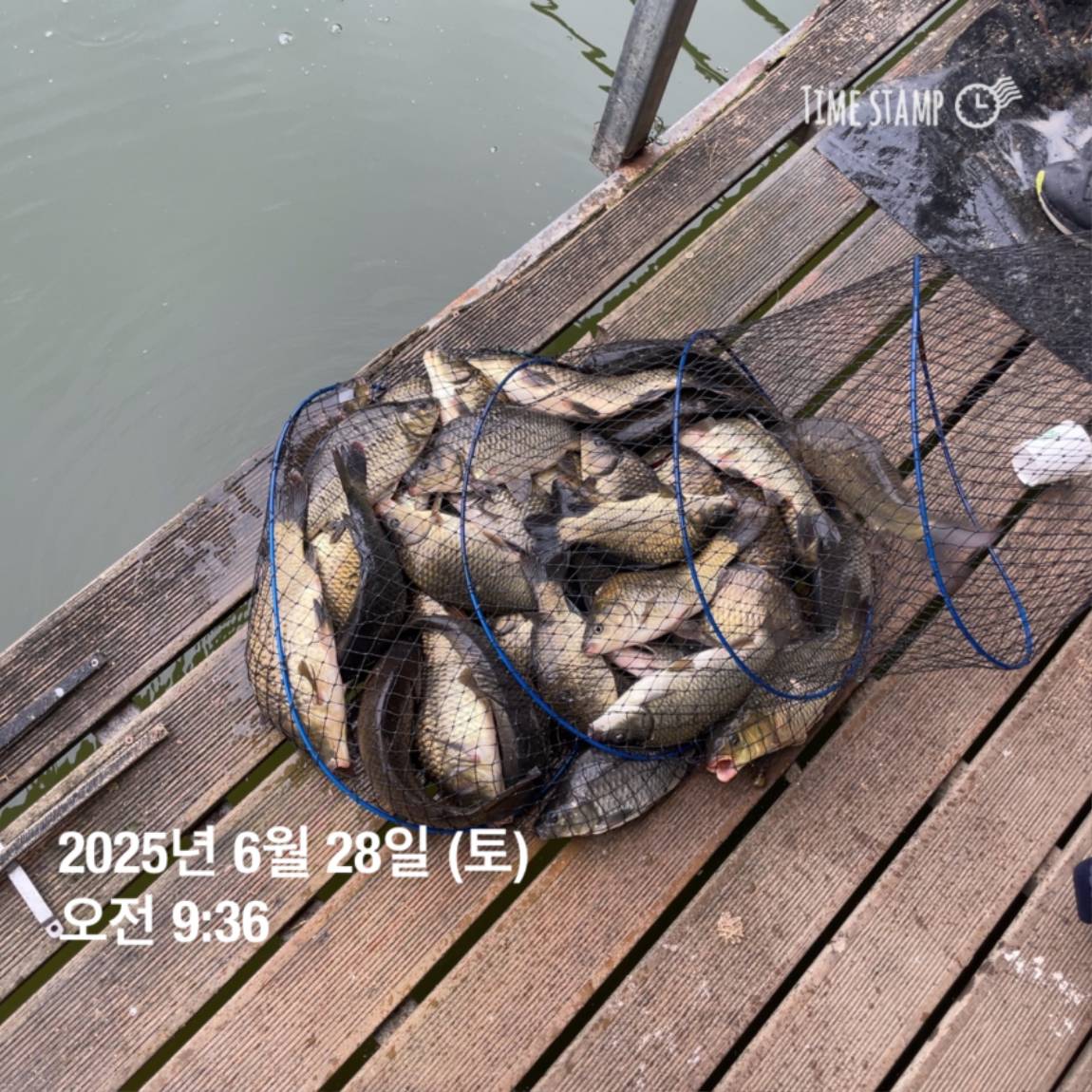 KakaoTalk_20250629_181759207_23.jpg