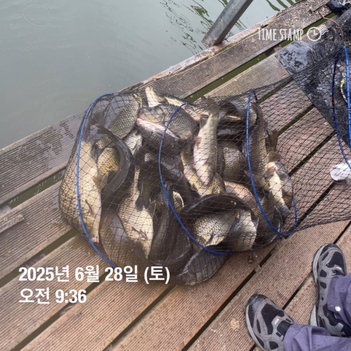 KakaoTalk_20250629_181759207_22.jpg
