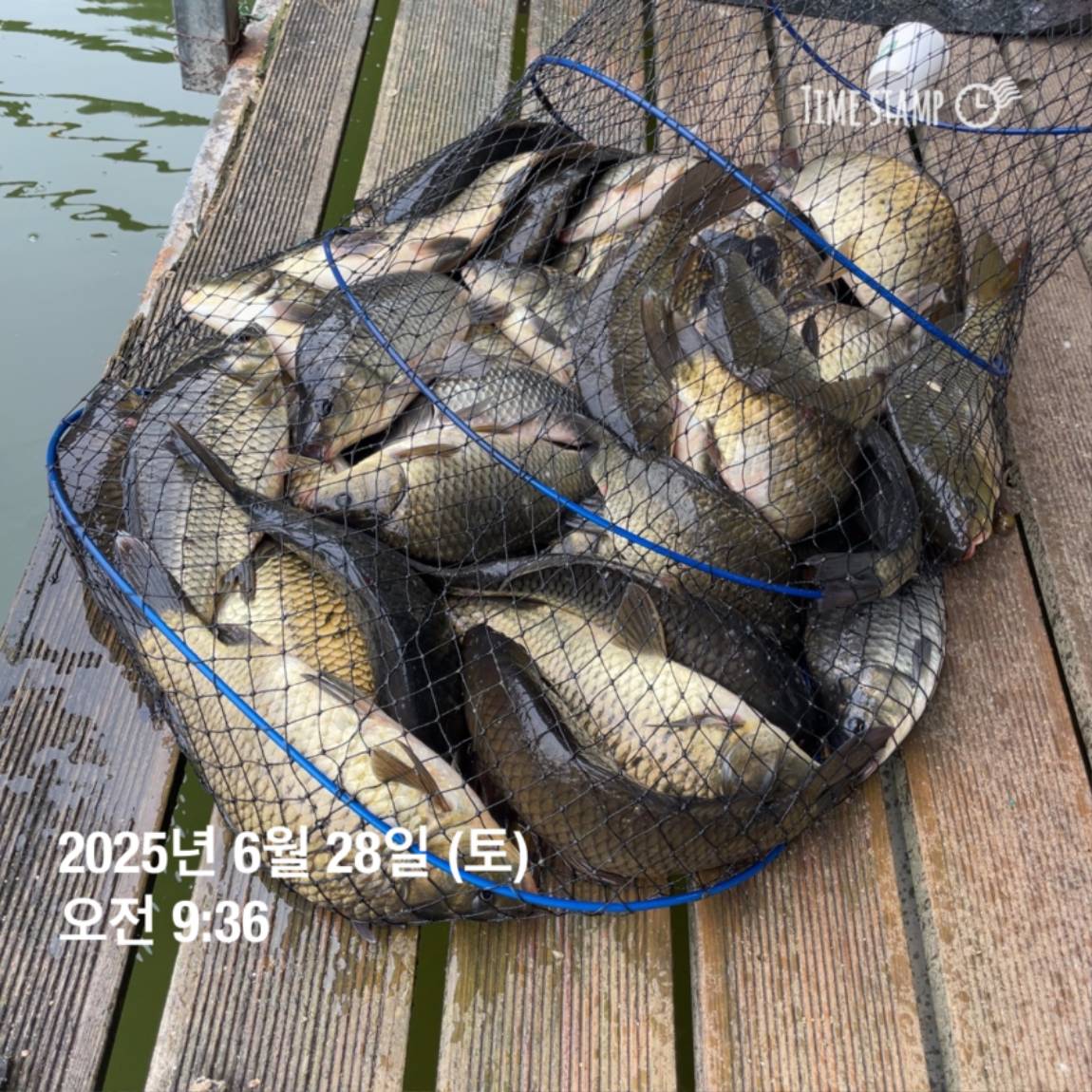 KakaoTalk_20250629_181759207_24.jpg