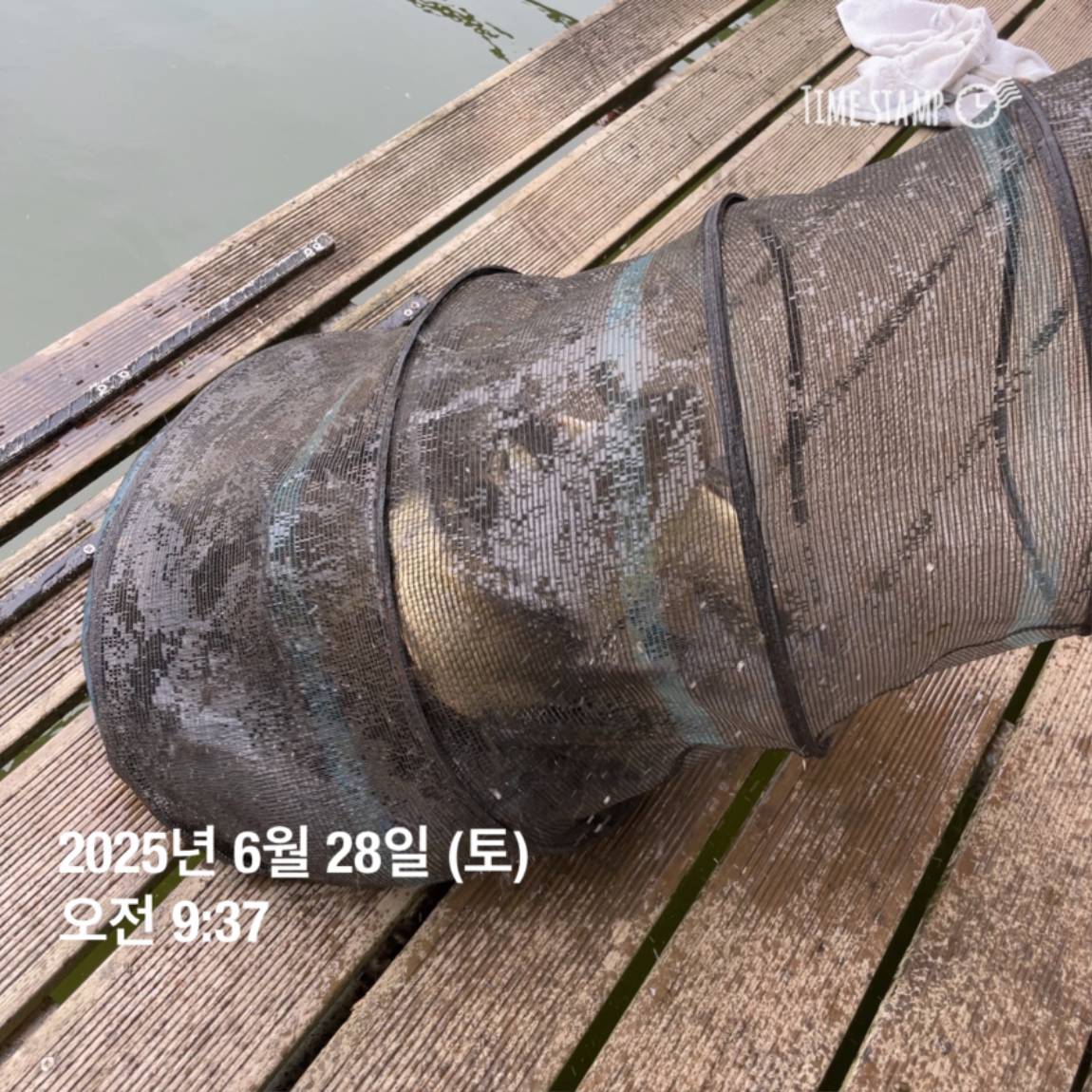 KakaoTalk_20250629_181759207_26.jpg