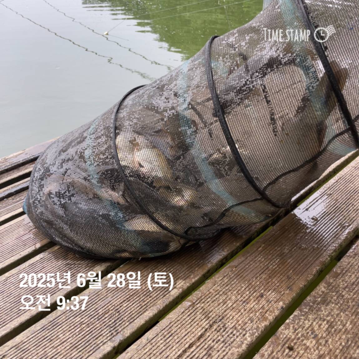 KakaoTalk_20250629_181759207_28.jpg