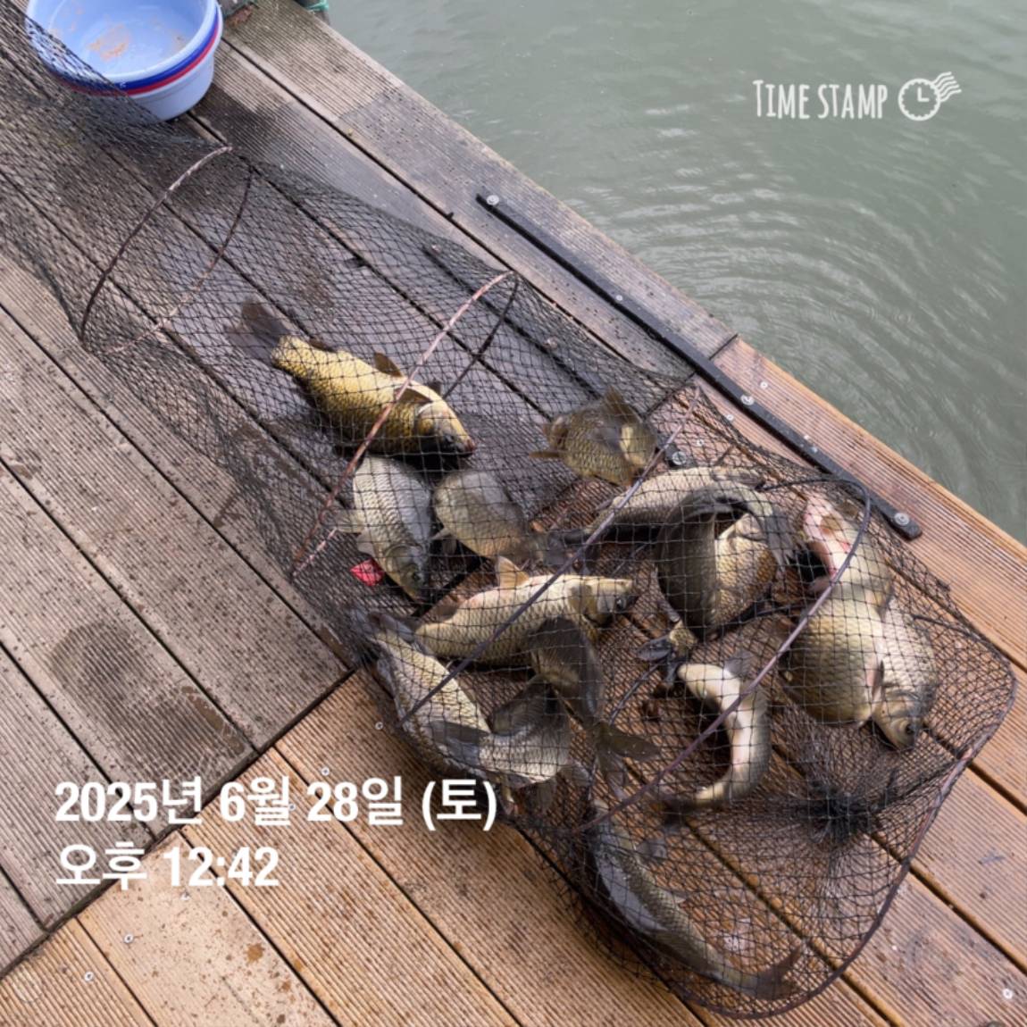KakaoTalk_20250629_182022626.jpg