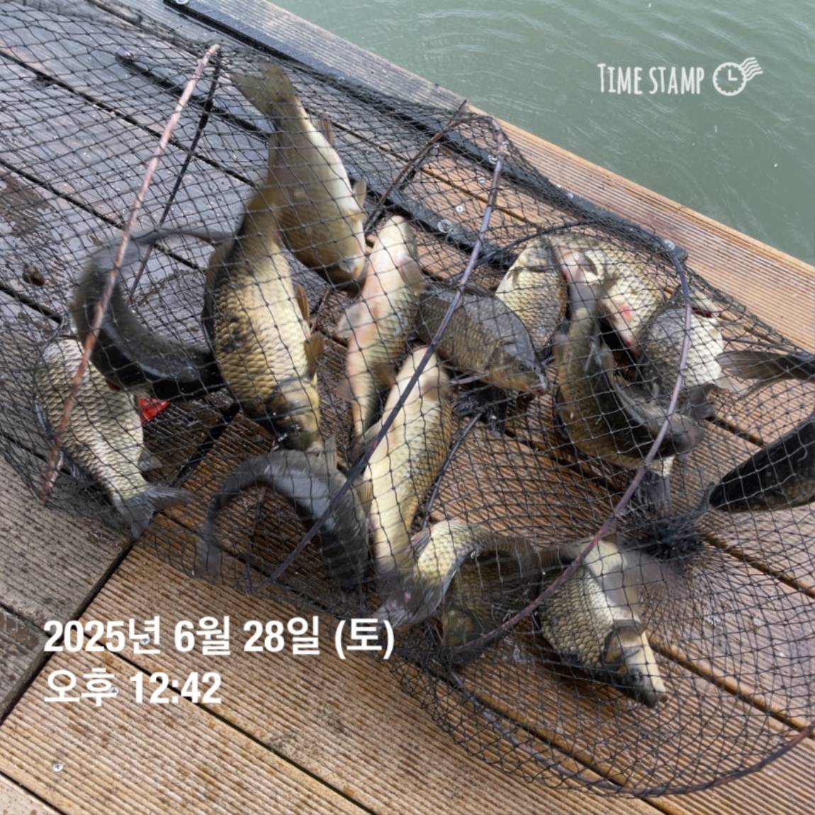 KakaoTalk_20250629_182022626_01.jpg