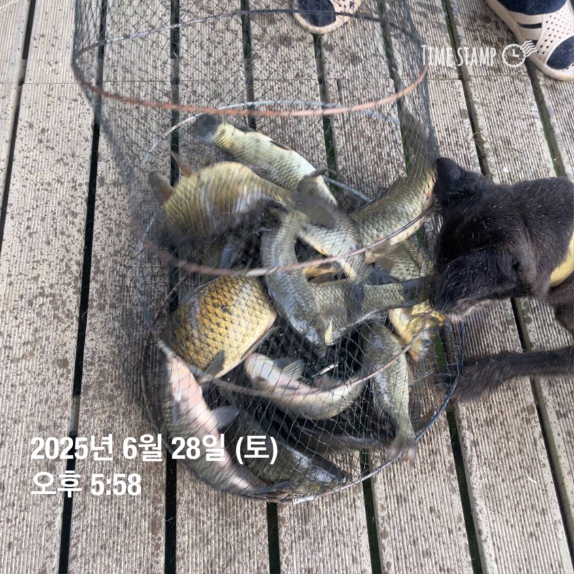 KakaoTalk_20250629_182022626_04.jpg
