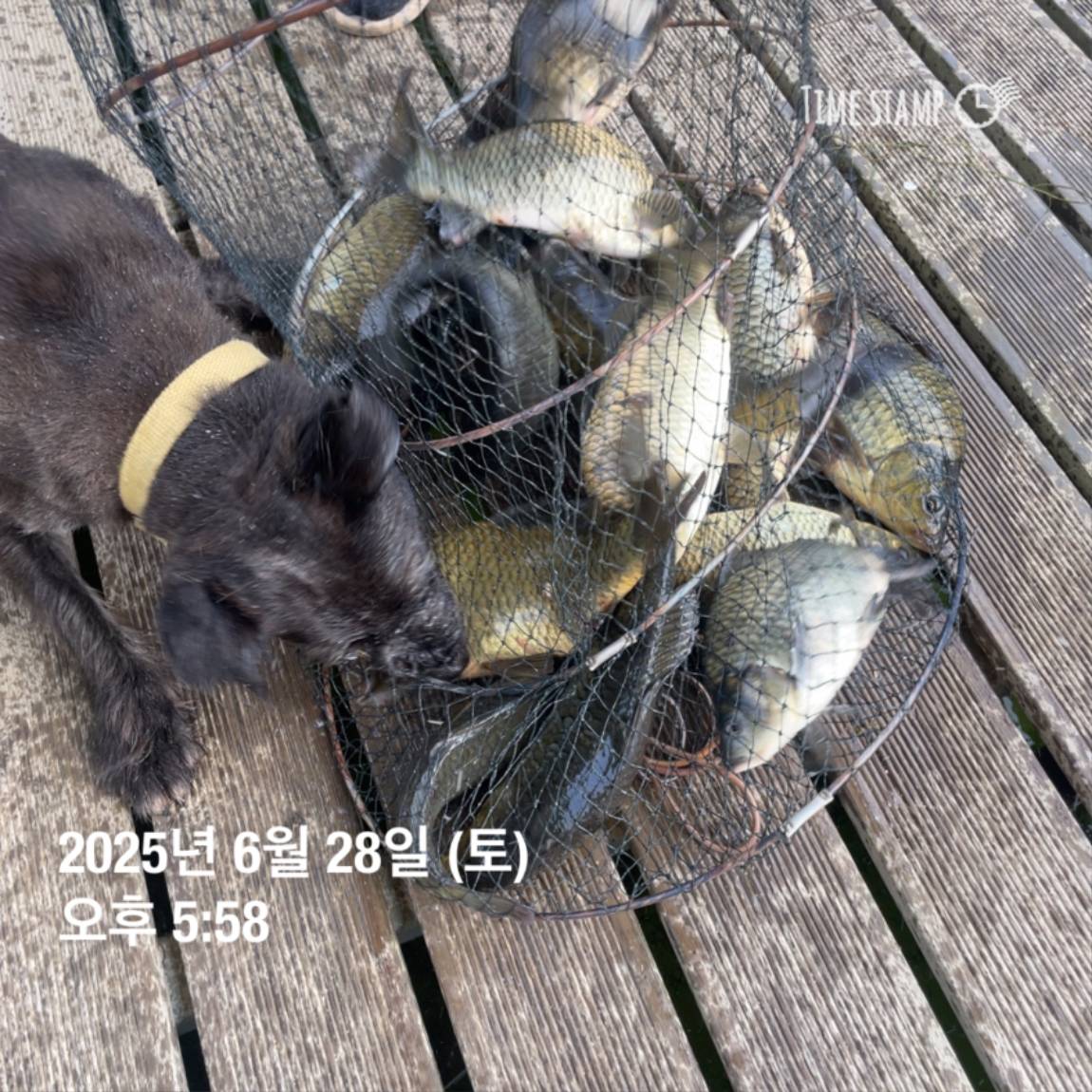 KakaoTalk_20250629_182022626_06.jpg