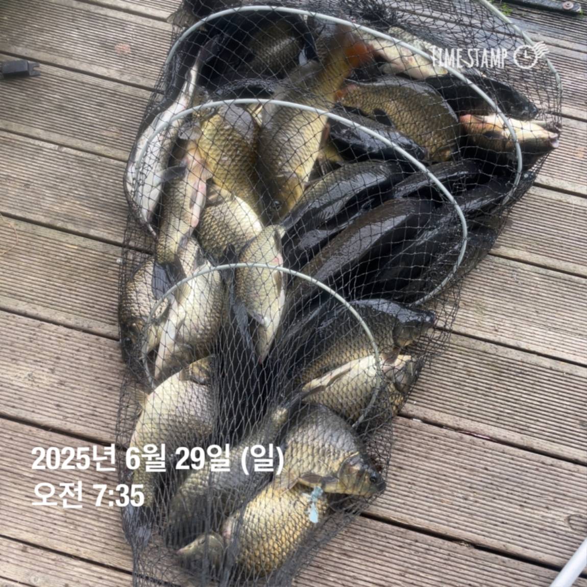 KakaoTalk_20250629_182022626_08.jpg