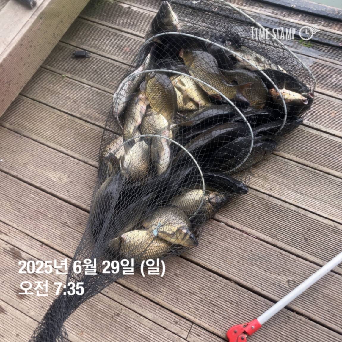 KakaoTalk_20250629_182022626_07.jpg