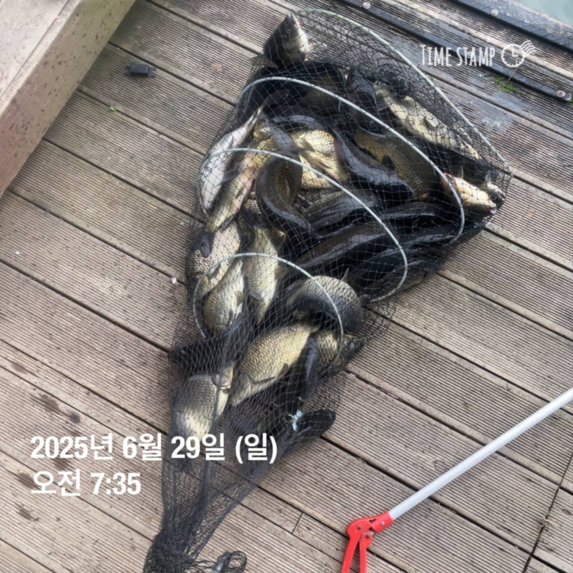 KakaoTalk_20250629_182022626_10.jpg