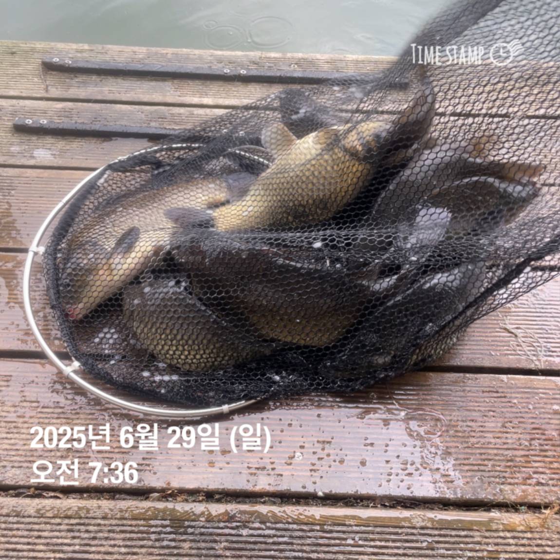KakaoTalk_20250629_182022626_13.jpg