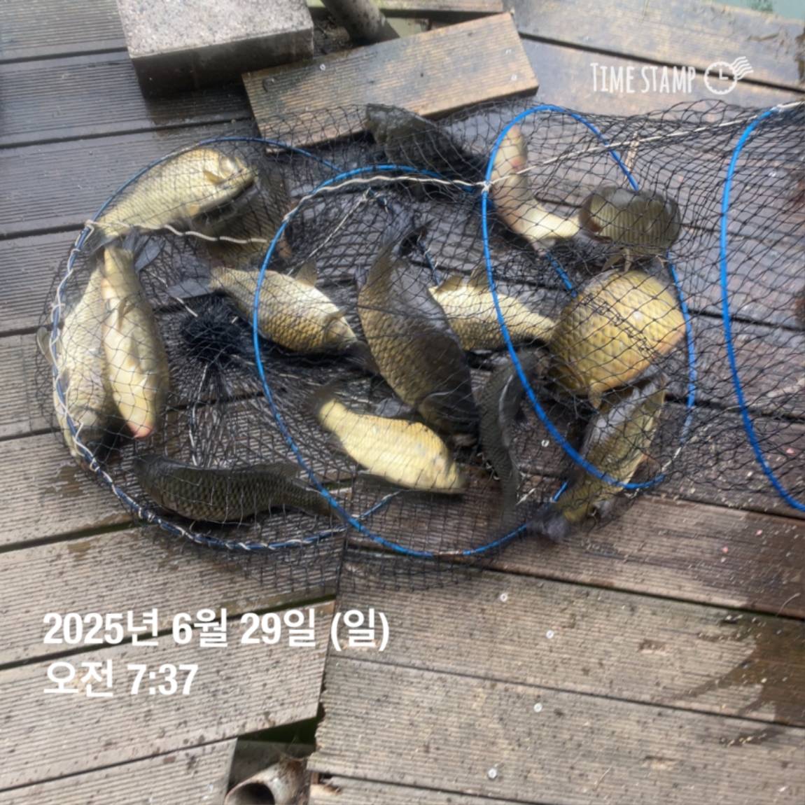 KakaoTalk_20250629_182022626_15.jpg