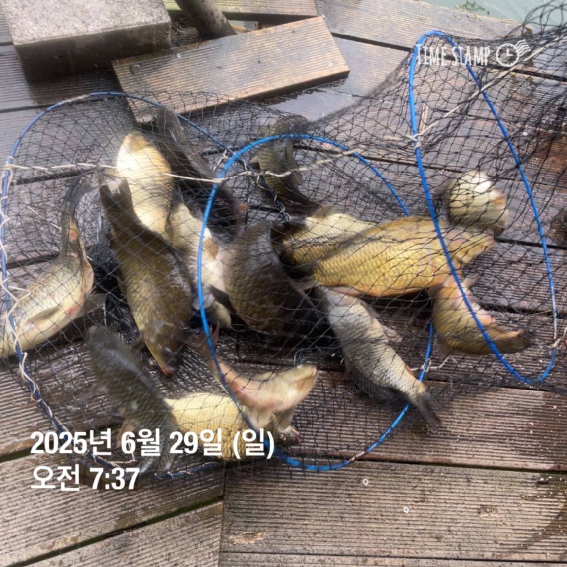 KakaoTalk_20250629_182022626_16.jpg