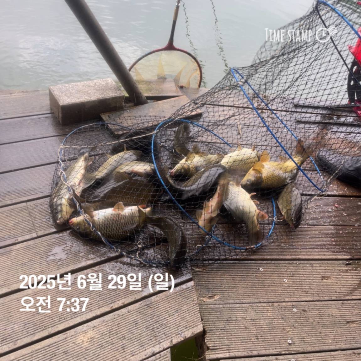 KakaoTalk_20250629_182022626_17.jpg
