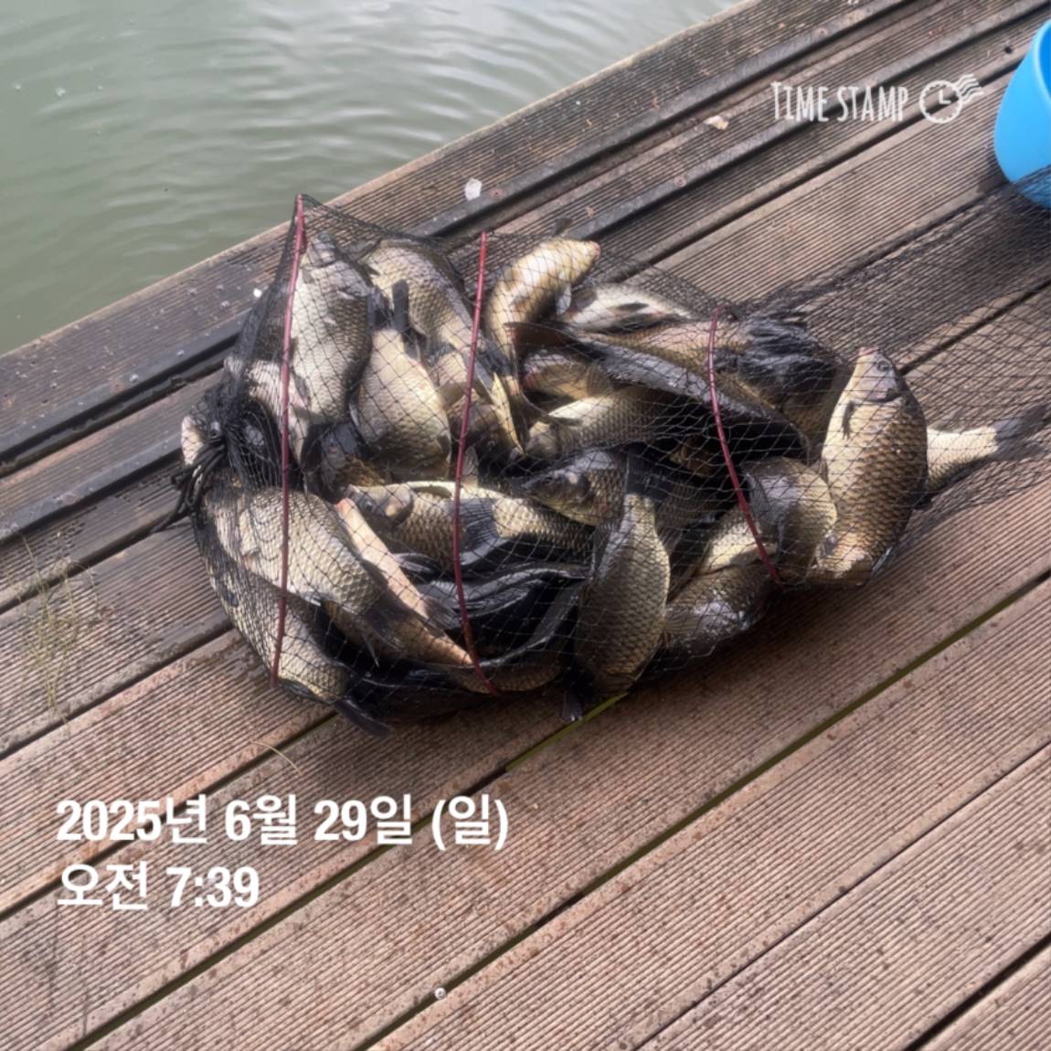 KakaoTalk_20250629_182022626_19.jpg