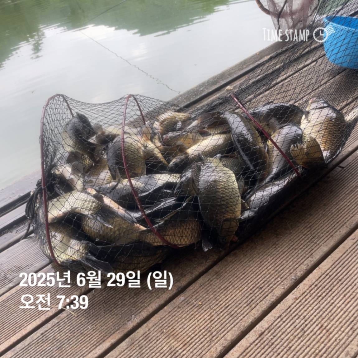 KakaoTalk_20250629_182022626_21.jpg