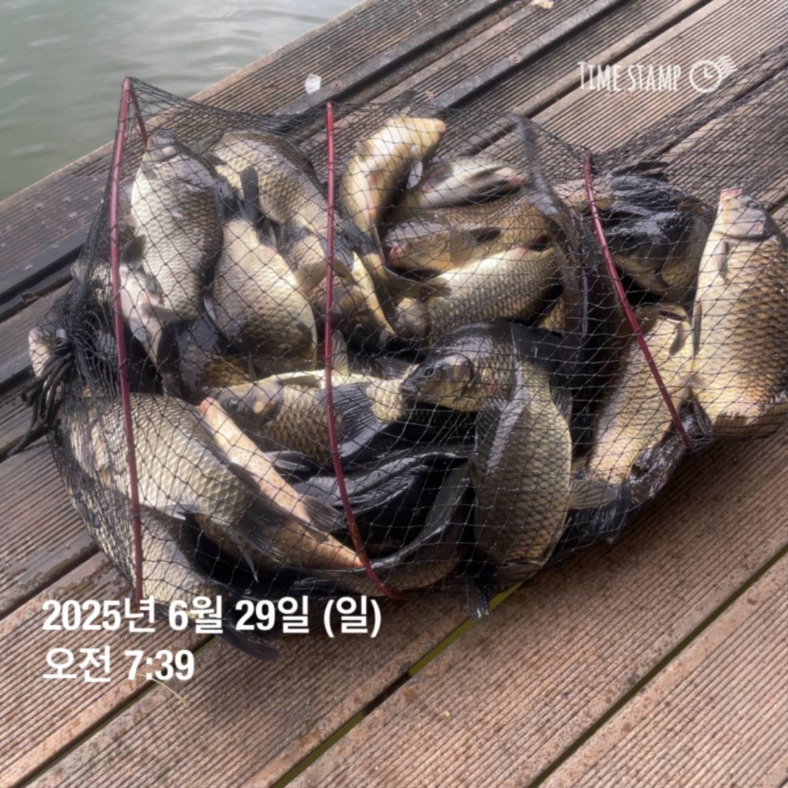 KakaoTalk_20250629_182022626_20.jpg