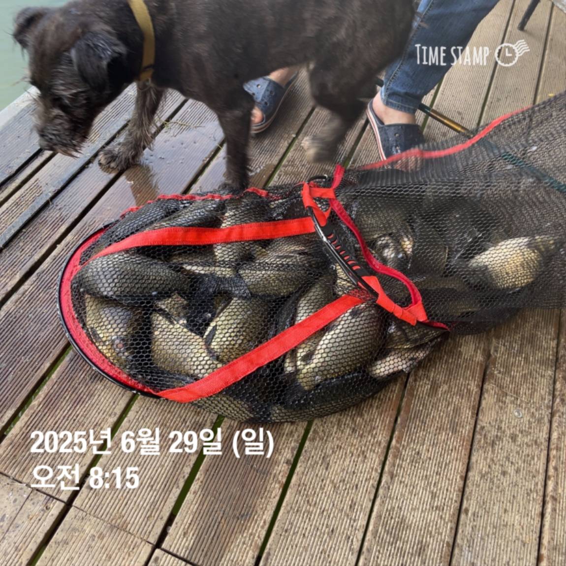 KakaoTalk_20250629_182022626_23.jpg
