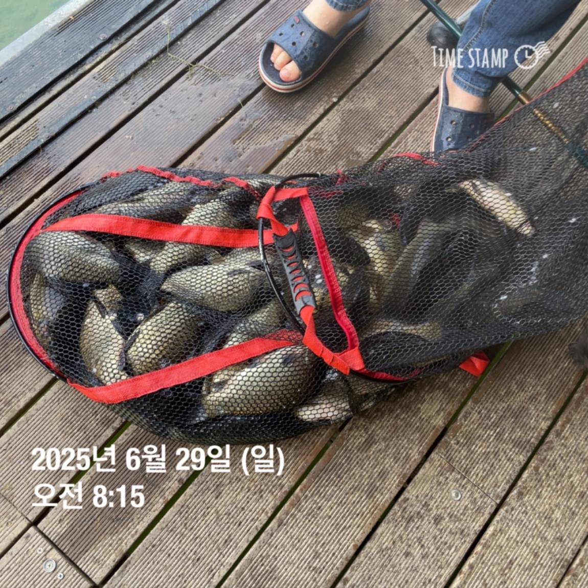 KakaoTalk_20250629_182022626_24.jpg