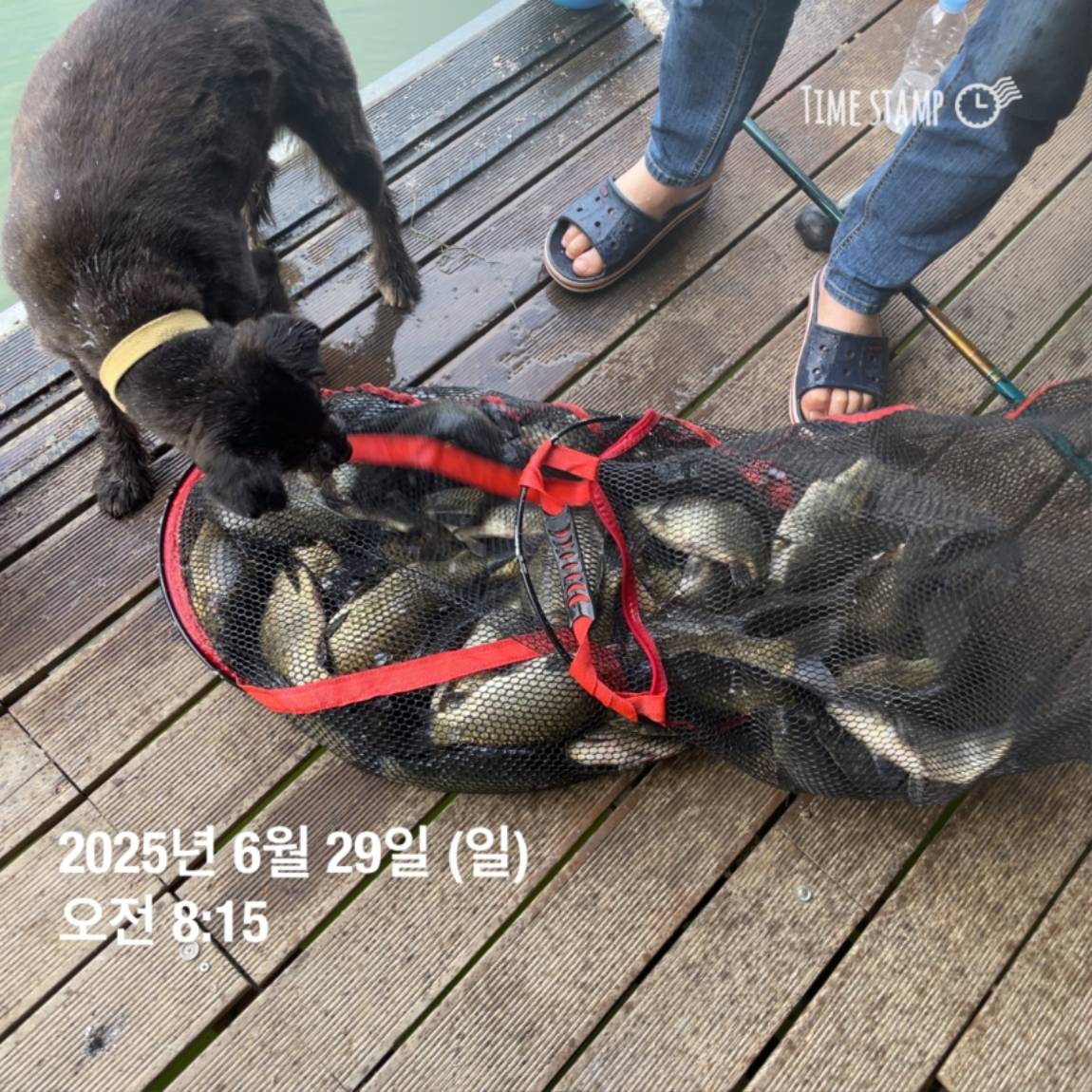 KakaoTalk_20250629_182022626_25.jpg