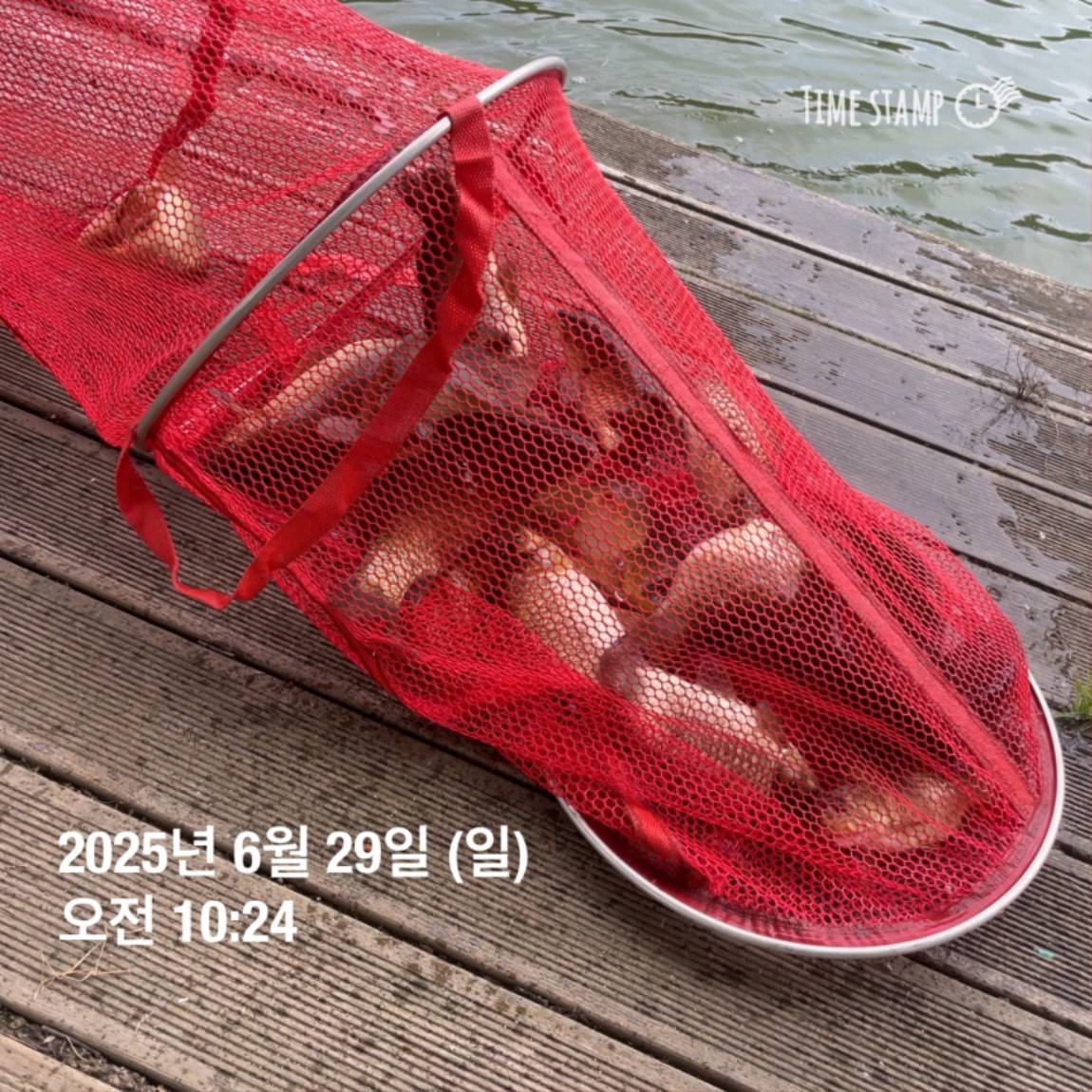 KakaoTalk_20250629_182022626_29.jpg