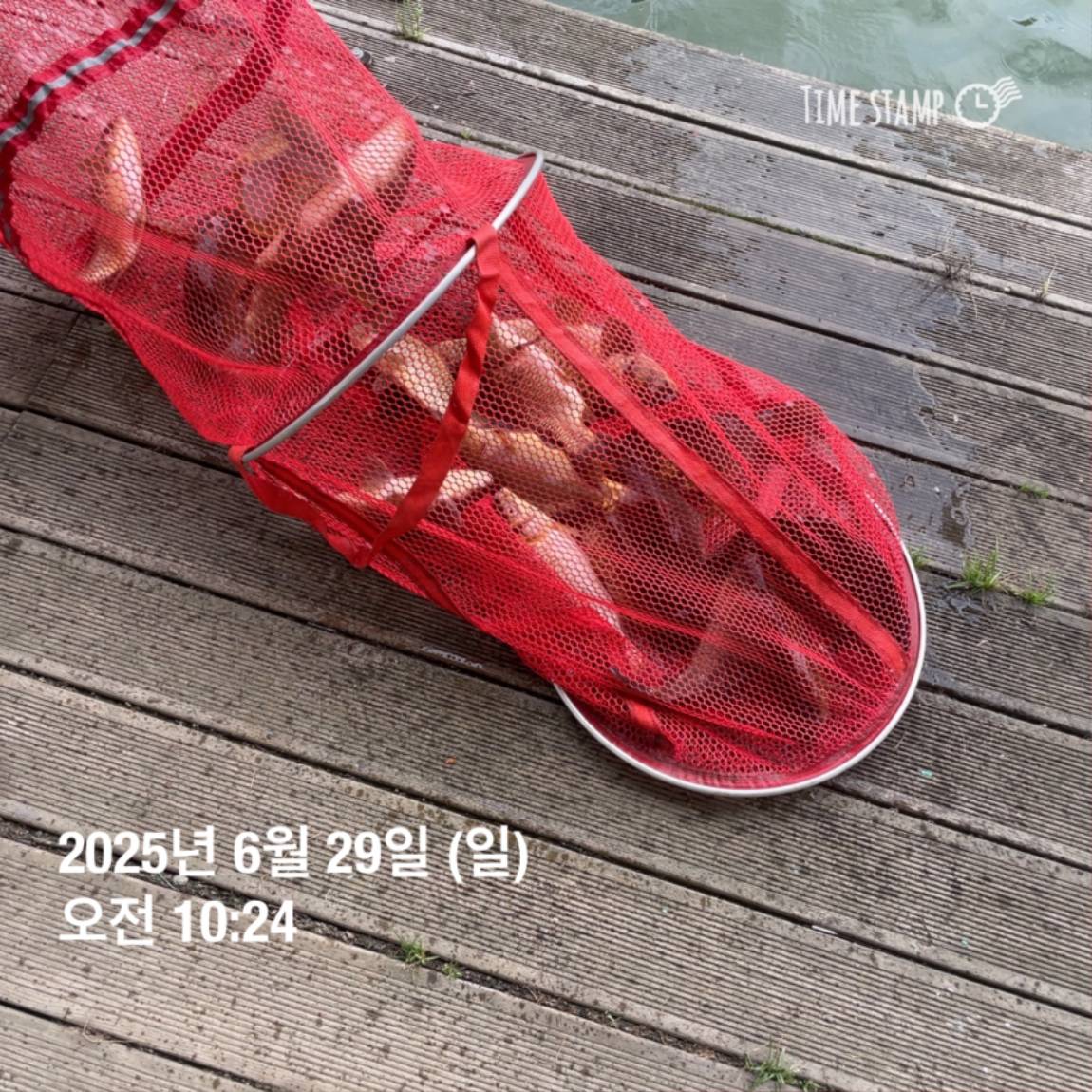 KakaoTalk_20250629_182054031.jpg