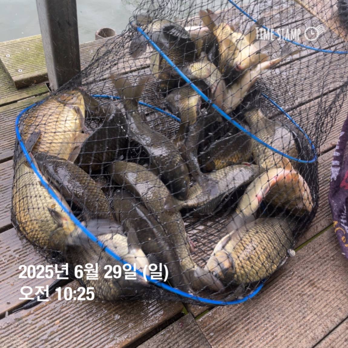 KakaoTalk_20250629_182054031_04.jpg