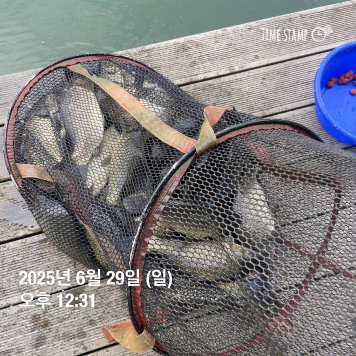 KakaoTalk_20250629_182054031_08.jpg