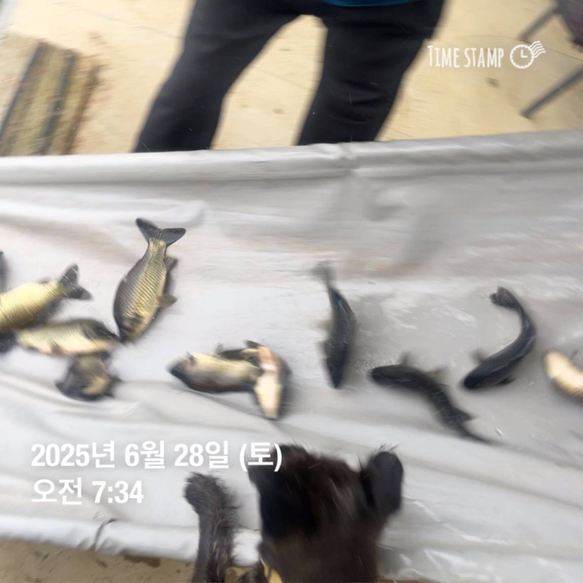 KakaoTalk_20250629_182054031_10.jpg