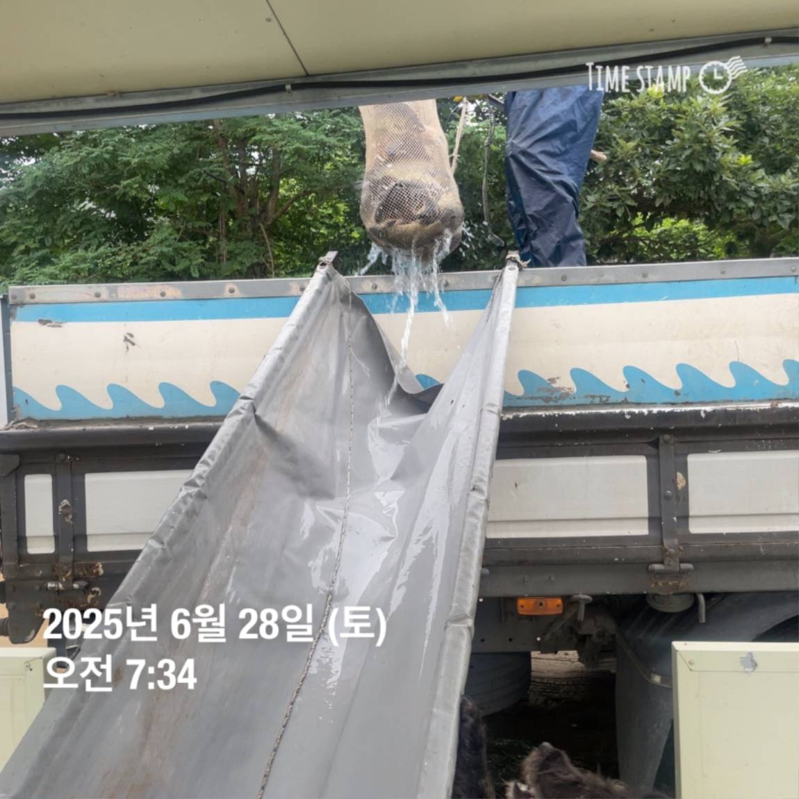 KakaoTalk_20250629_182054031_14.jpg