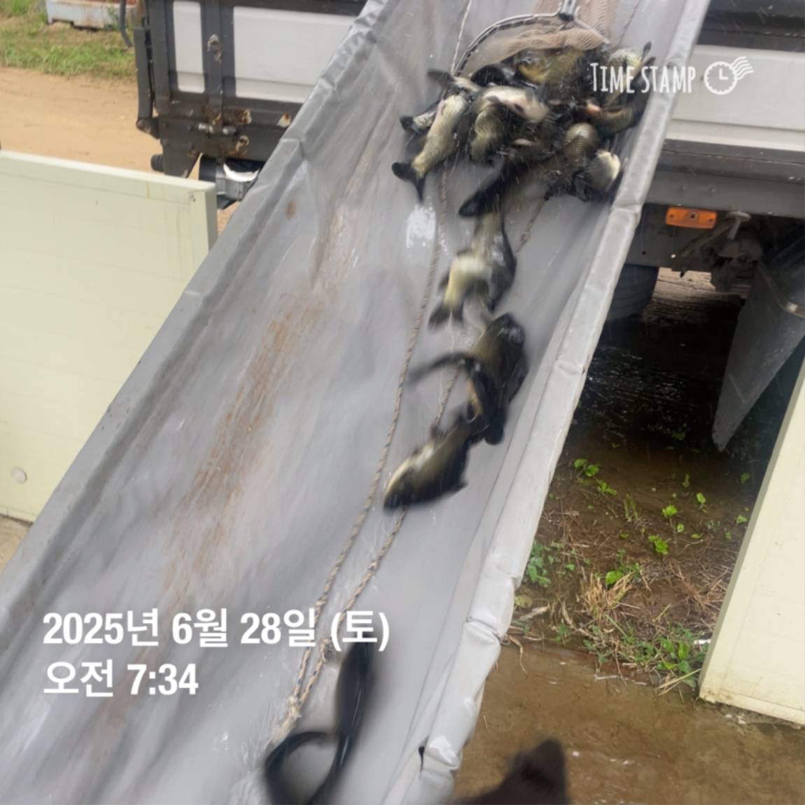 KakaoTalk_20250629_182054031_15.jpg