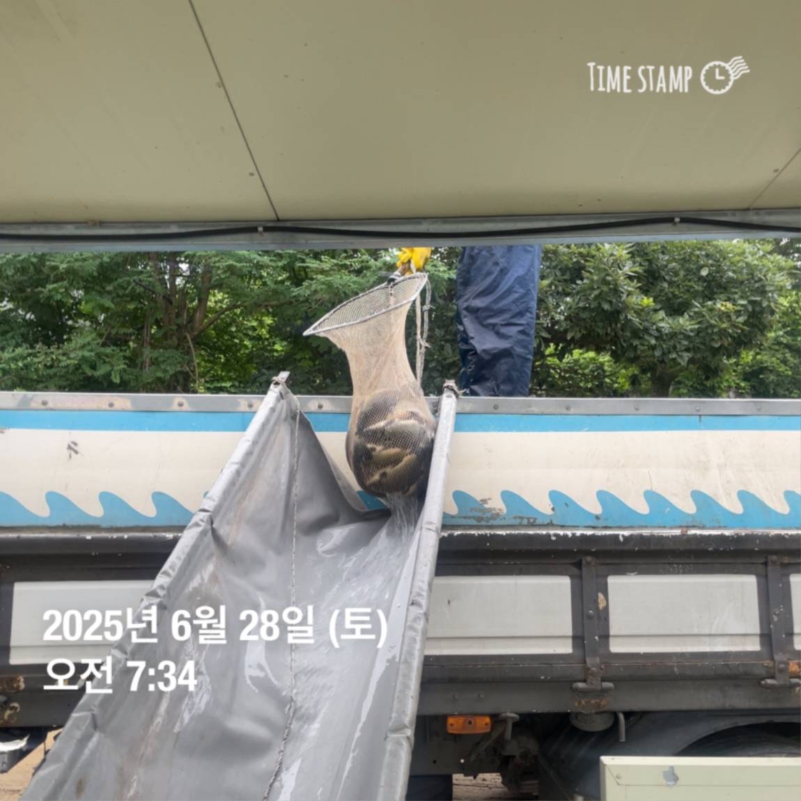 KakaoTalk_20250629_182054031_18.jpg
