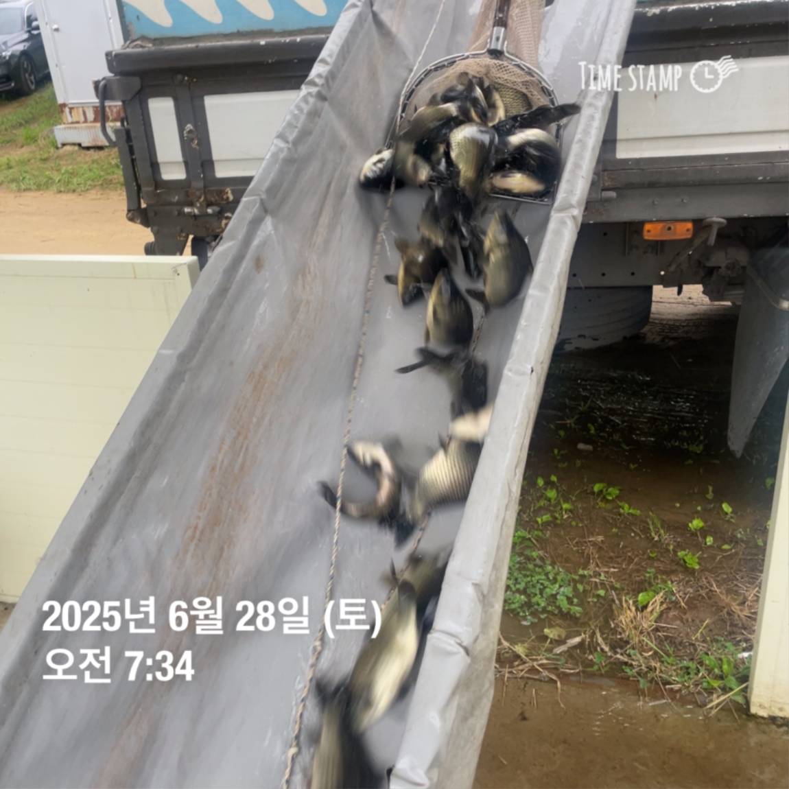 KakaoTalk_20250629_182054031_17.jpg