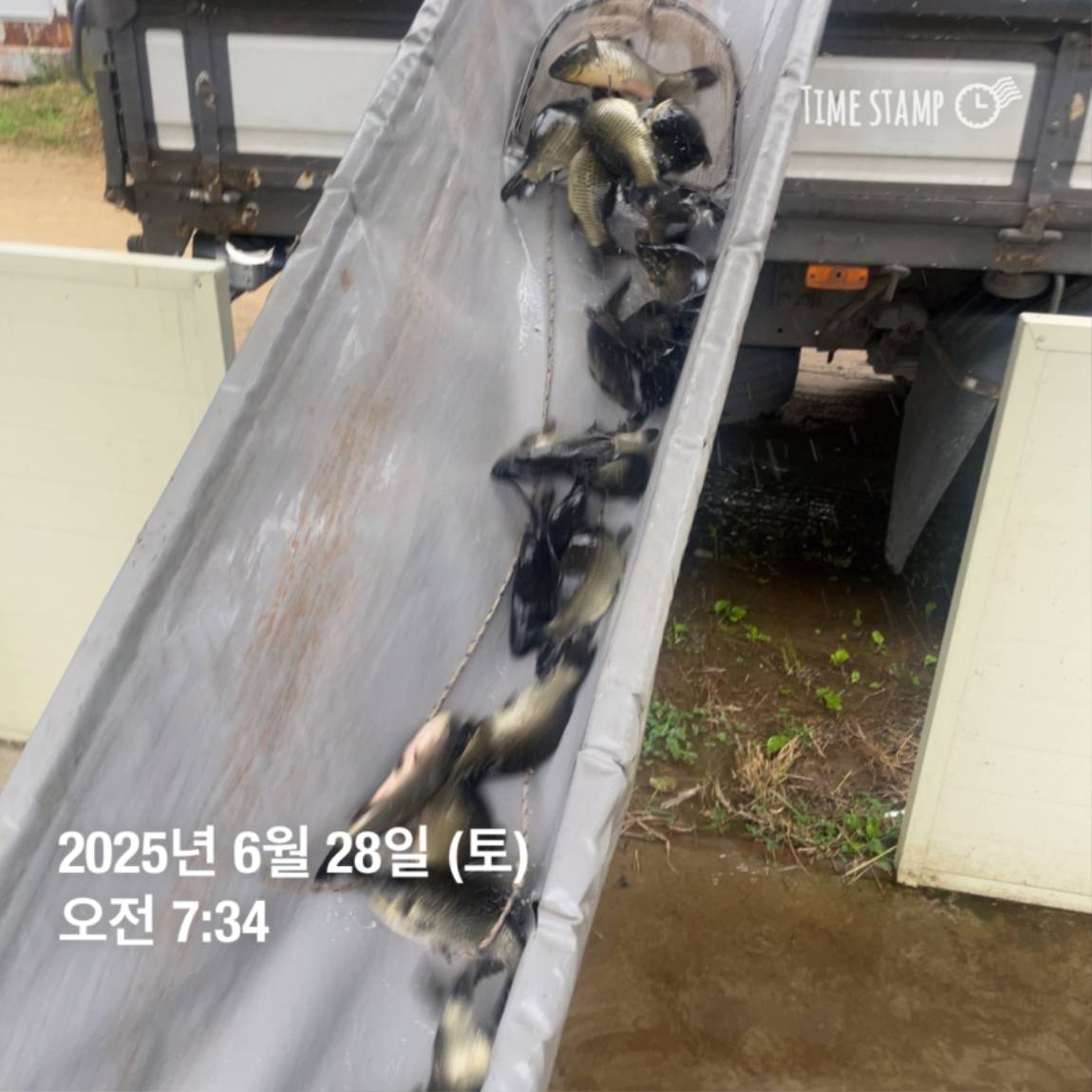 KakaoTalk_20250629_182054031_19.jpg