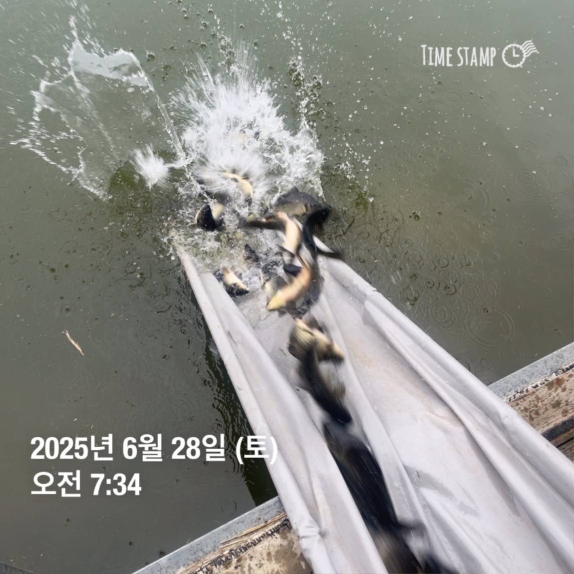 KakaoTalk_20250629_182054031_20.jpg