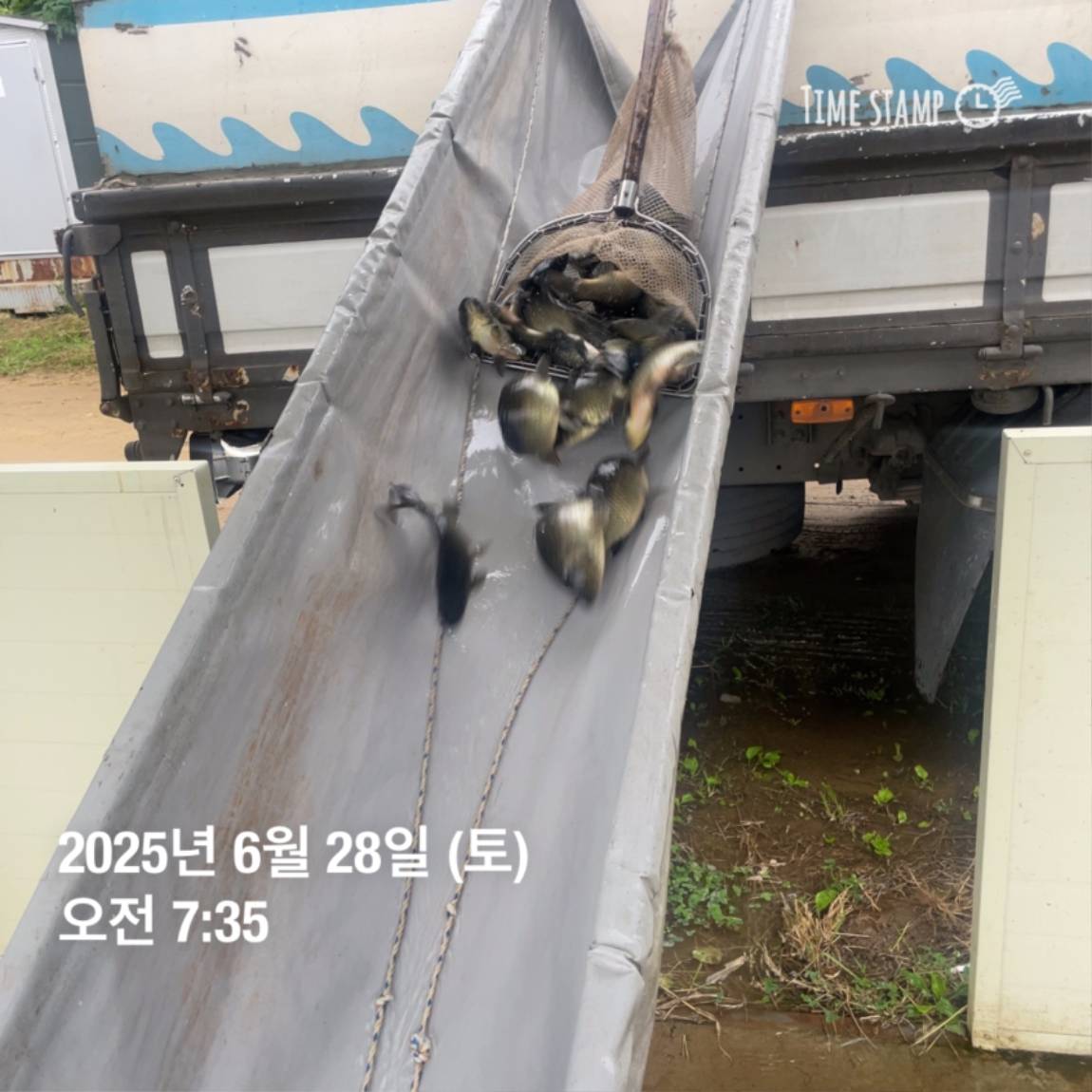 KakaoTalk_20250629_182054031_24.jpg