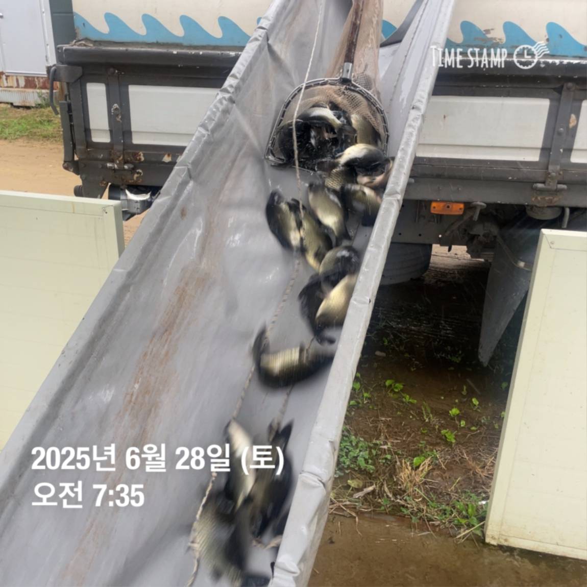 KakaoTalk_20250629_182054031_22.jpg