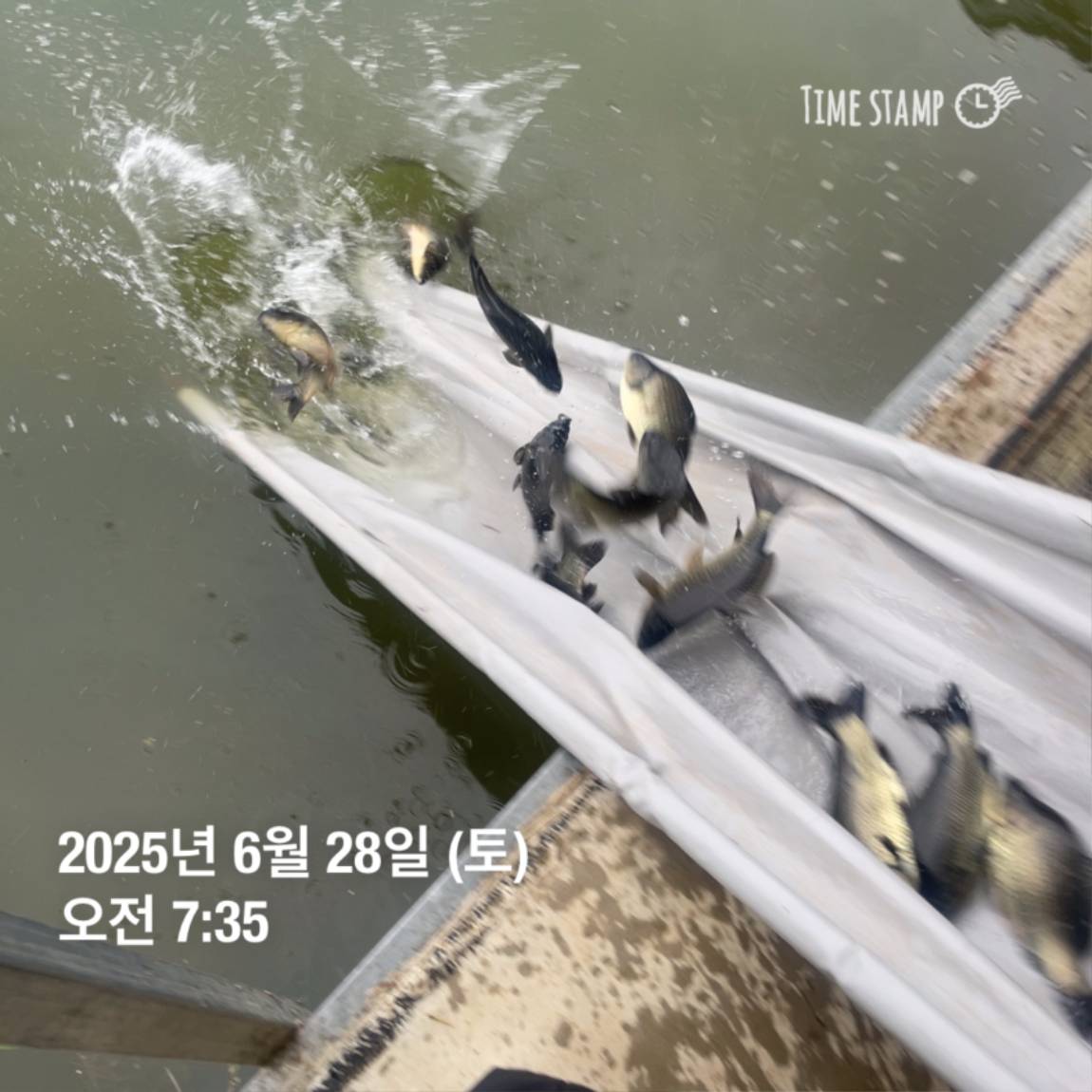 KakaoTalk_20250629_182054031_25.jpg