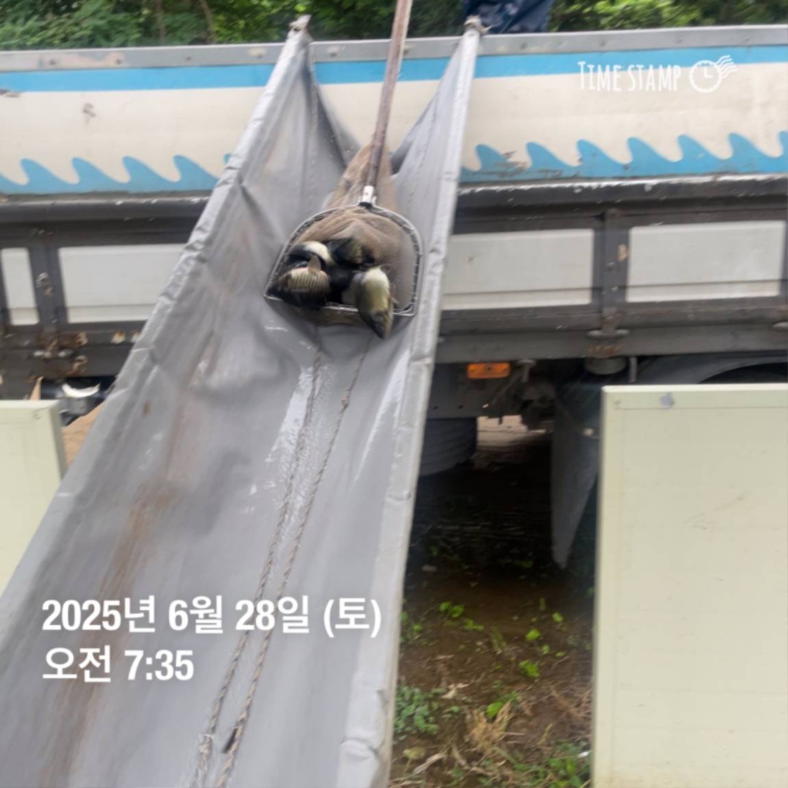 KakaoTalk_20250629_182054031_26.jpg