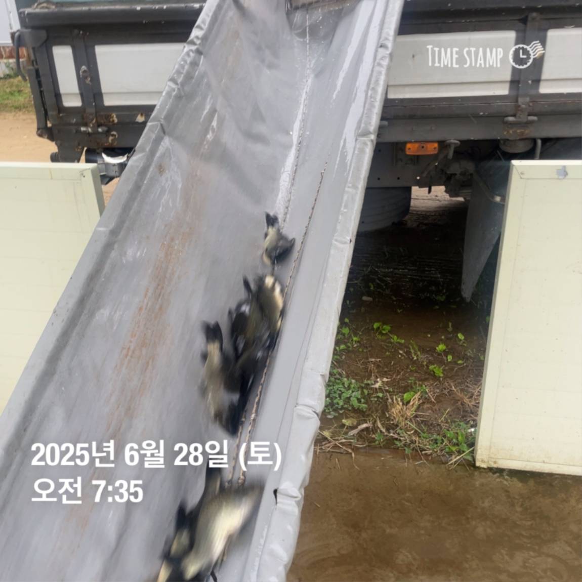 KakaoTalk_20250629_182054031_27.jpg