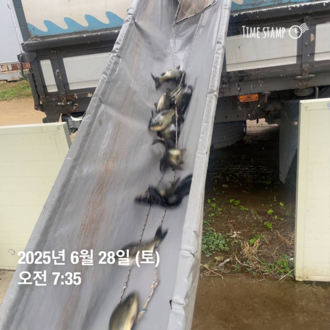KakaoTalk_20250629_182054031_28.jpg