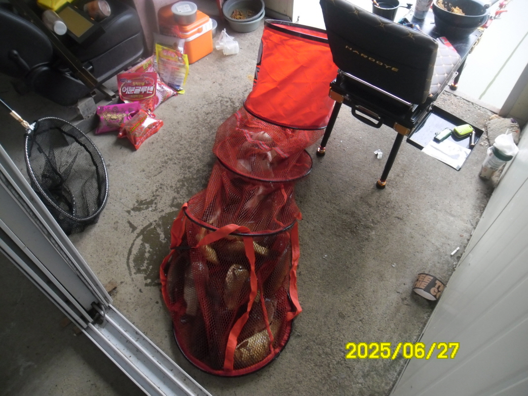 SAM_3859.JPG