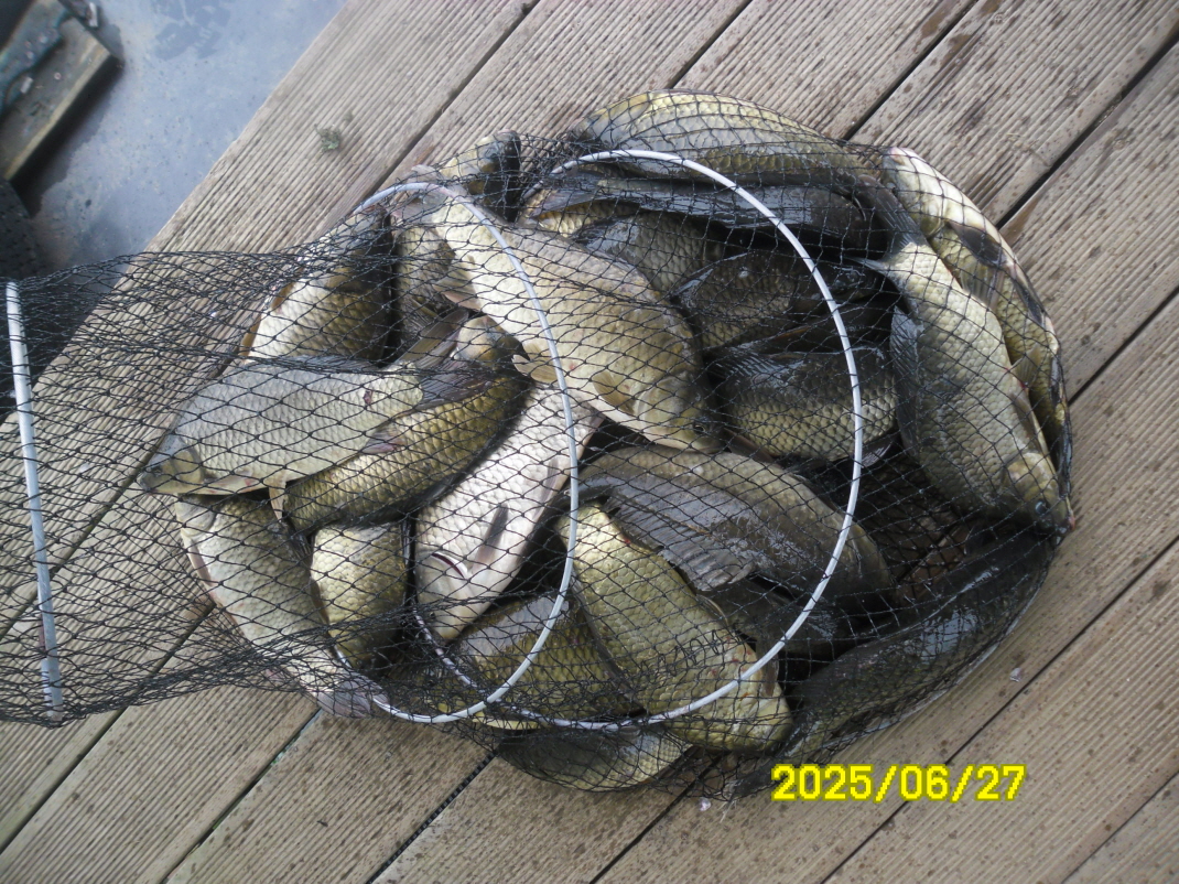 SAM_3870.JPG