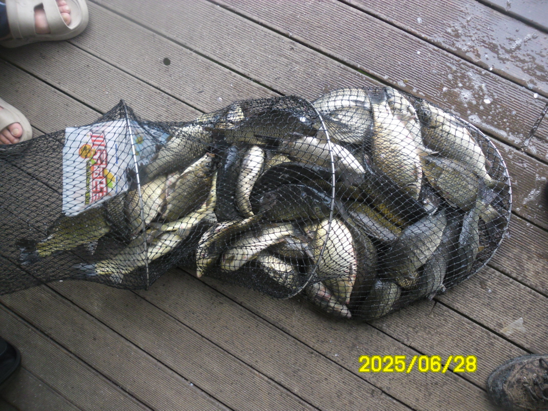 SAM_3903.JPG